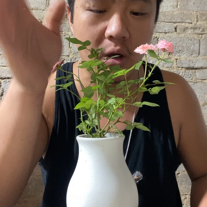 完全开放退款拉黑一物一拍157