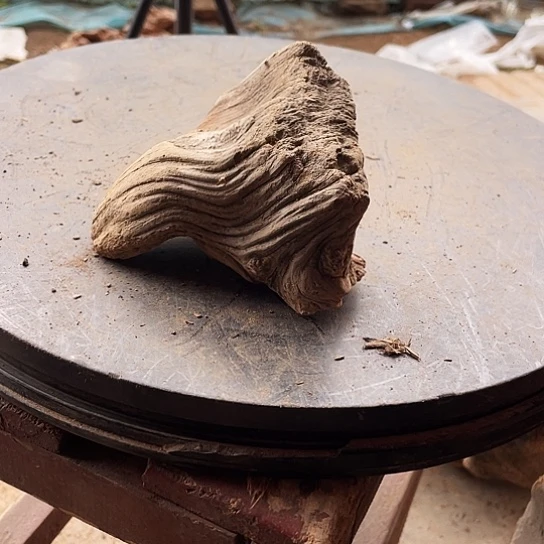 ****海柏木崖柏崖柏香料