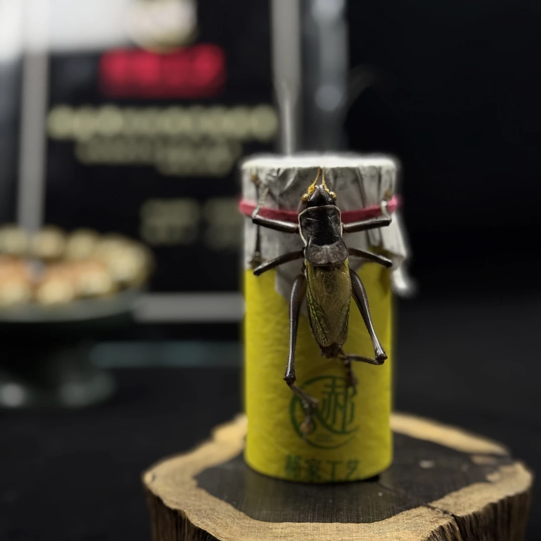 天津郝建伟蝈蝈闷包发货带保温 蝈蝈鸣虫活体 高端家养爬虫宠物