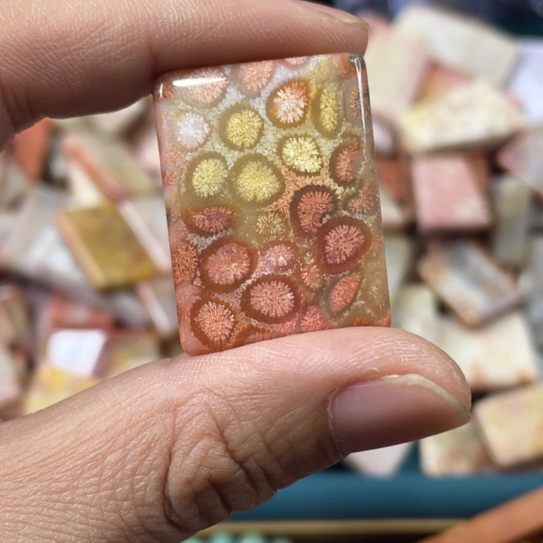 未镶嵌手镯硅化玉
