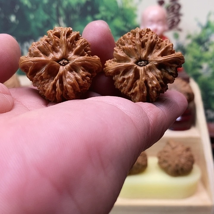 我***面文玩核桃吊坠蚂蚁纹三角南疆