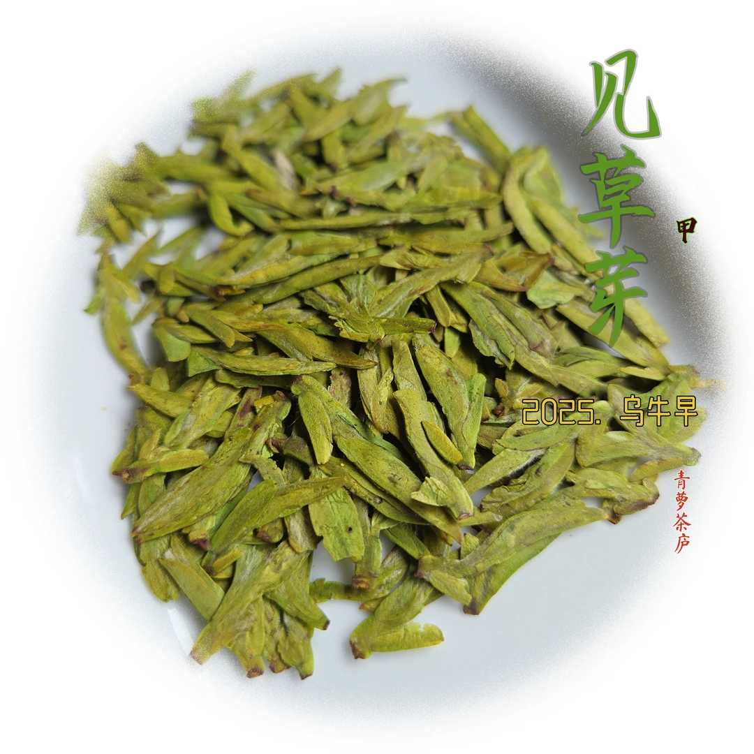 见草芽（甲)～2025年早春绿茶扁形嘉茗一号
