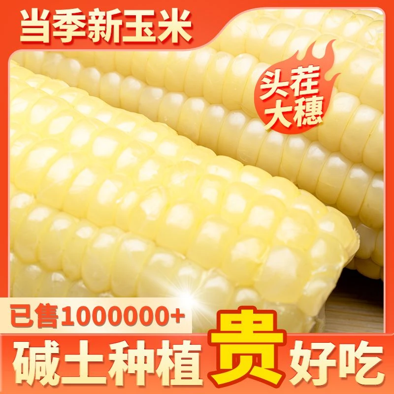 【试吃6根】东北头茬哈糯2022白糯玉米单250-280克整箱12根7斤左右