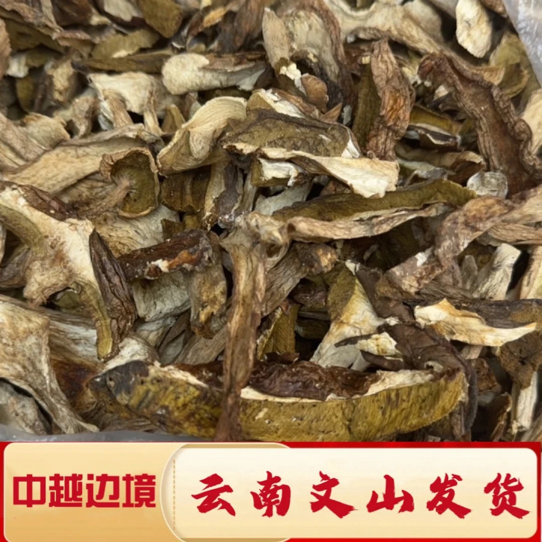 一村一品山野好货—1【精选牛肝菌】
