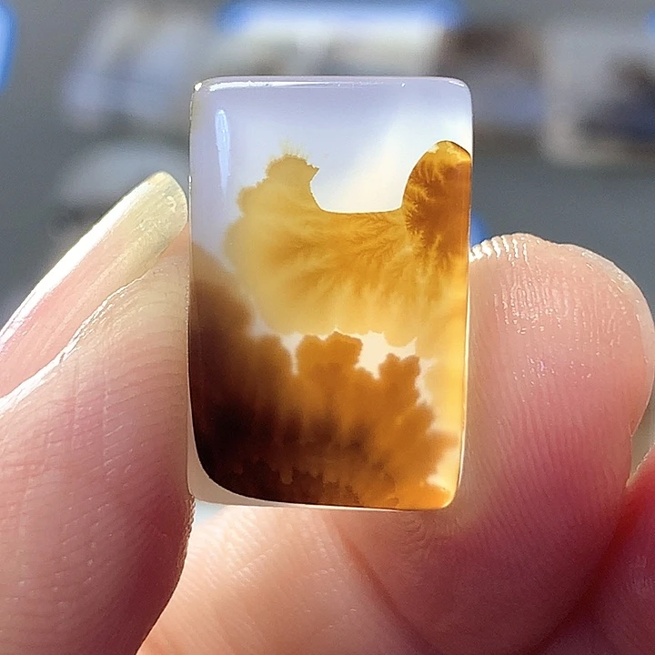 未镶嵌颈饰玛瑙/玉髓