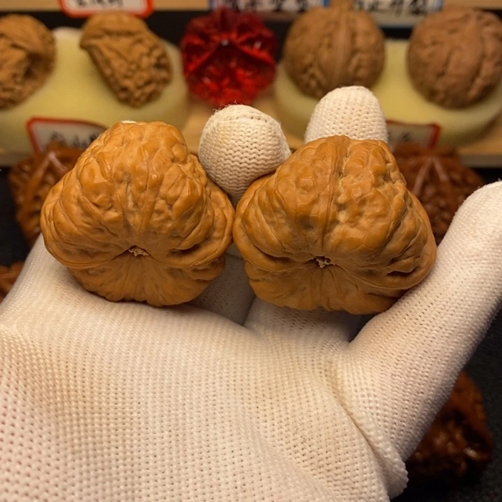 灰**。蛤蟆蛤蟆蛤蟆