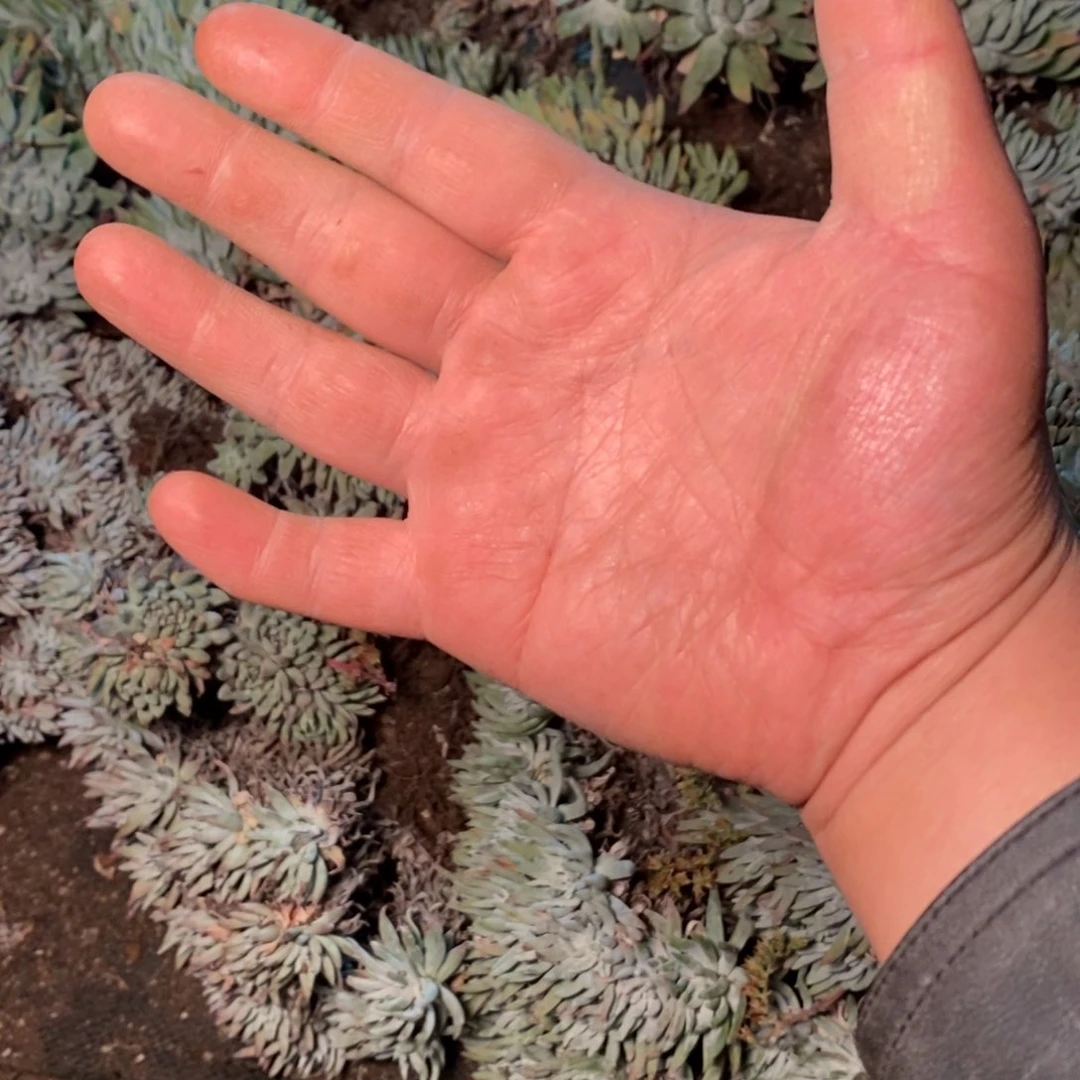 美*3169 3168 哈哈哈哈哈哈哈哈哈