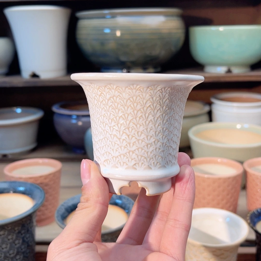 瓷片dy0209-012S福利特价