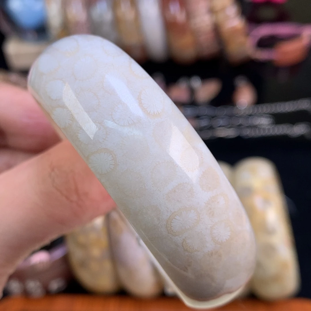 【闪购商品】颈饰未镶嵌硅化珊瑚（珊瑚玉）66号奶白56.6圈