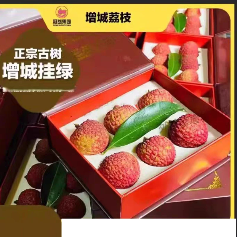 送礼正宗增城挂绿荔枝新鲜荔枝稀有水果精美顺丰空运包邮礼盒装