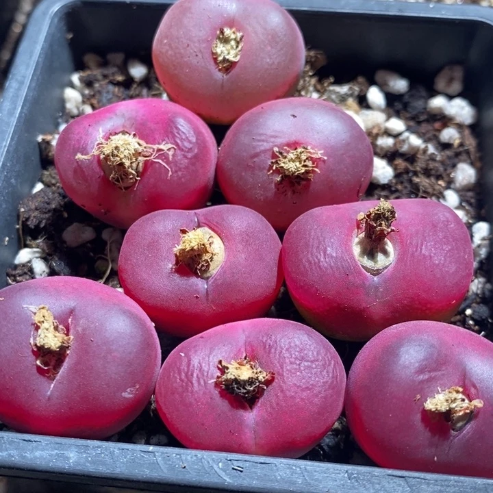 26276一组一组一组