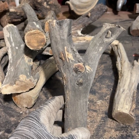 大果紫檀（缅甸花梨）有****难