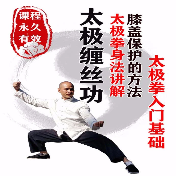 陈式太极拳13式缠丝功及太极拳开胯身法教学（留意短信解锁课程）