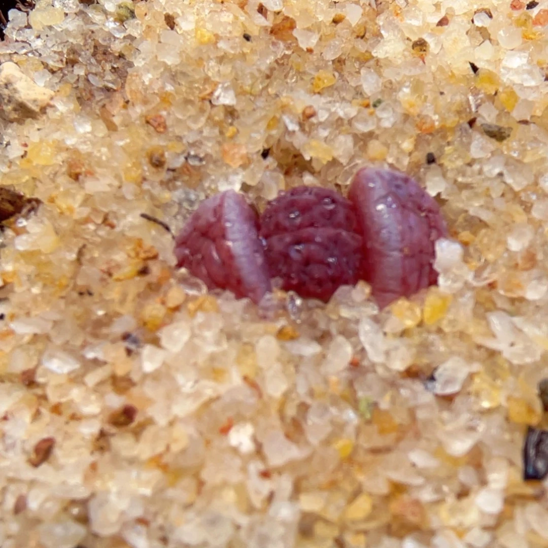 050。 88888888888888888888