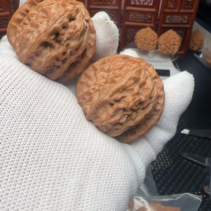 把件桃核全品白狮子39➕无药福利