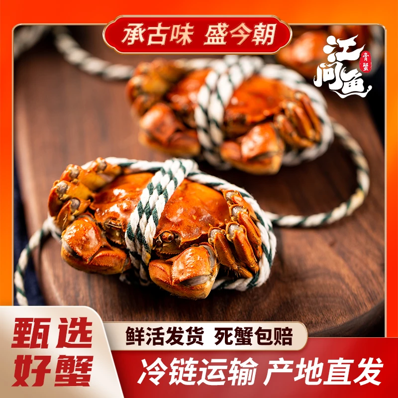 【活蟹】江问鱼兴化大闸蟹全母蟹3.5两/只 6只 保鲜保活京东直发