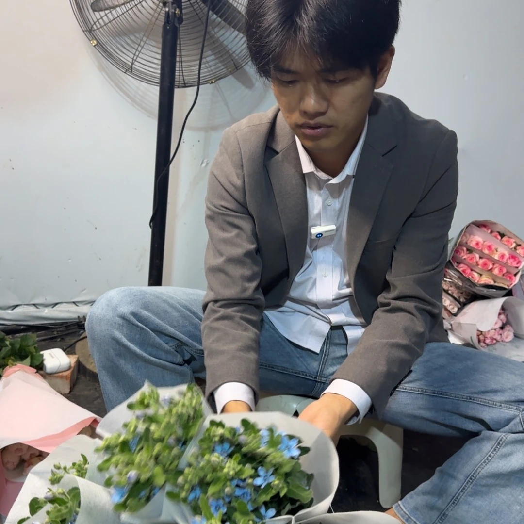 蓝星花3扎包邮价秒杀