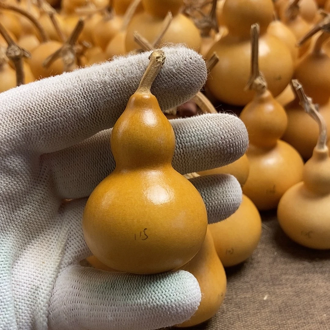 文玩葫芦  完美主义者 慎拍115