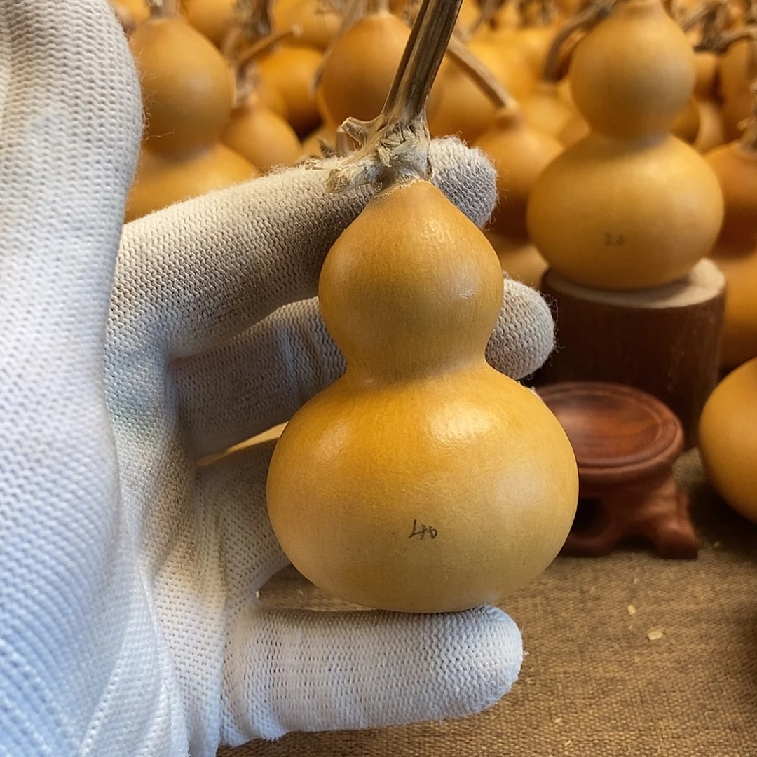 文玩葫芦 完美主义者 慎拍40