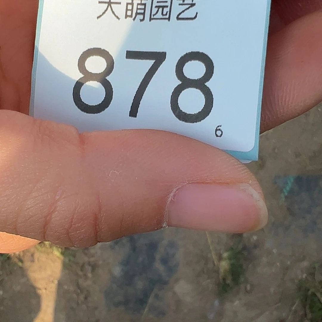 如***道0000878 一物一拍……