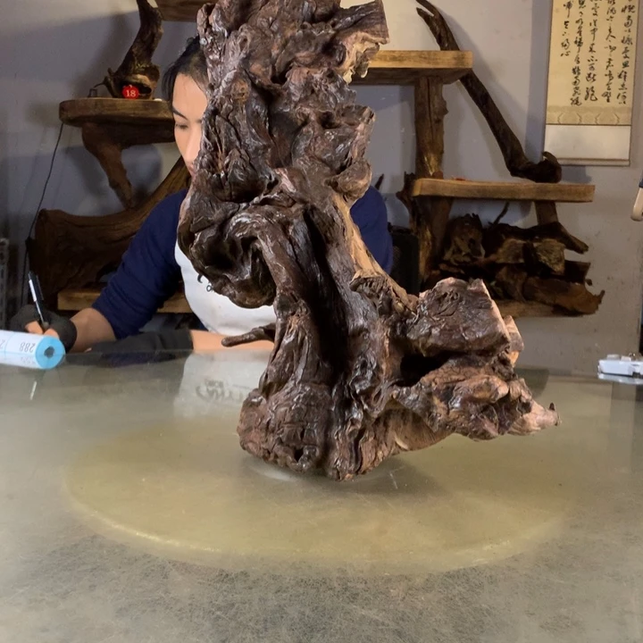 風***哥天然云南紫柚木会黄水