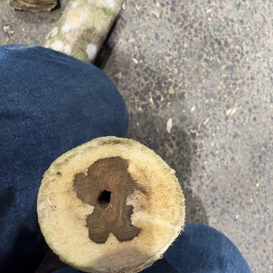 沉香枕沉香沉香碎屑