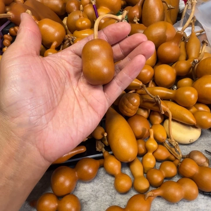 ****芦走到葫芦的一把胖墩葫芦