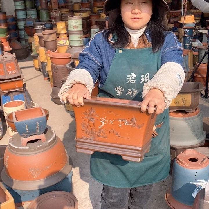 紫砂花盆盆栽花卉苗木种植