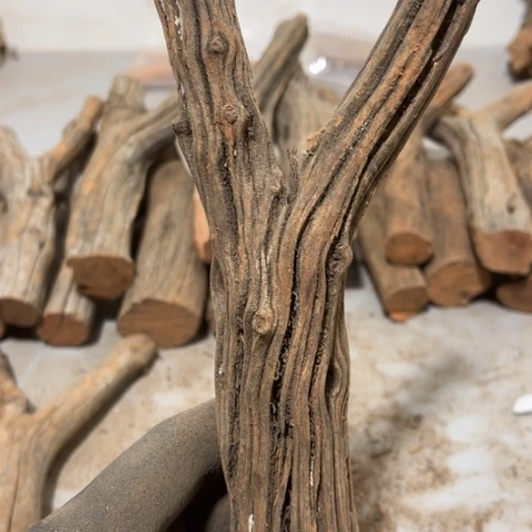 大果紫檀（缅甸花梨）凉
