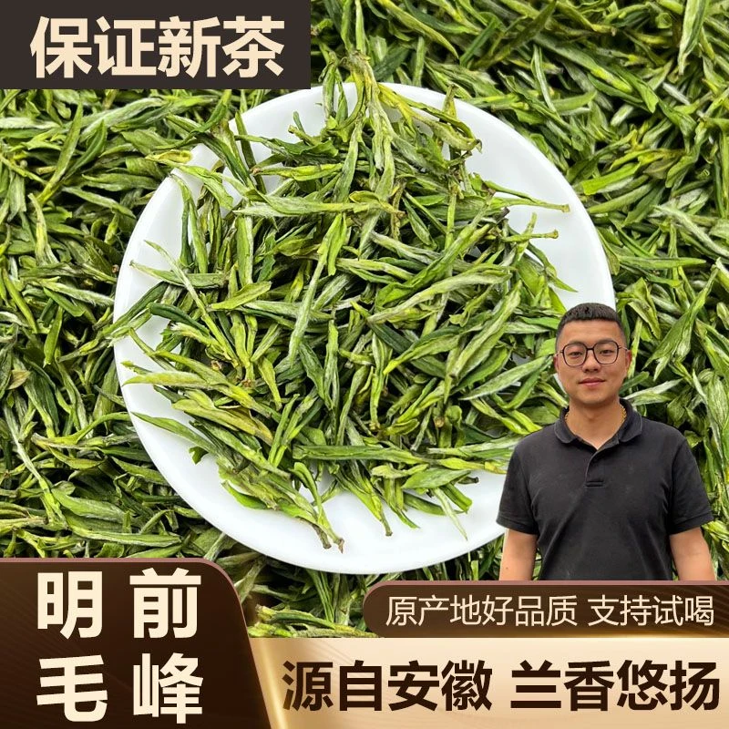 【兰花香】明前嫩芽2025新茶叶正宗安徽毛峰250g/500g罐装高山绿茶