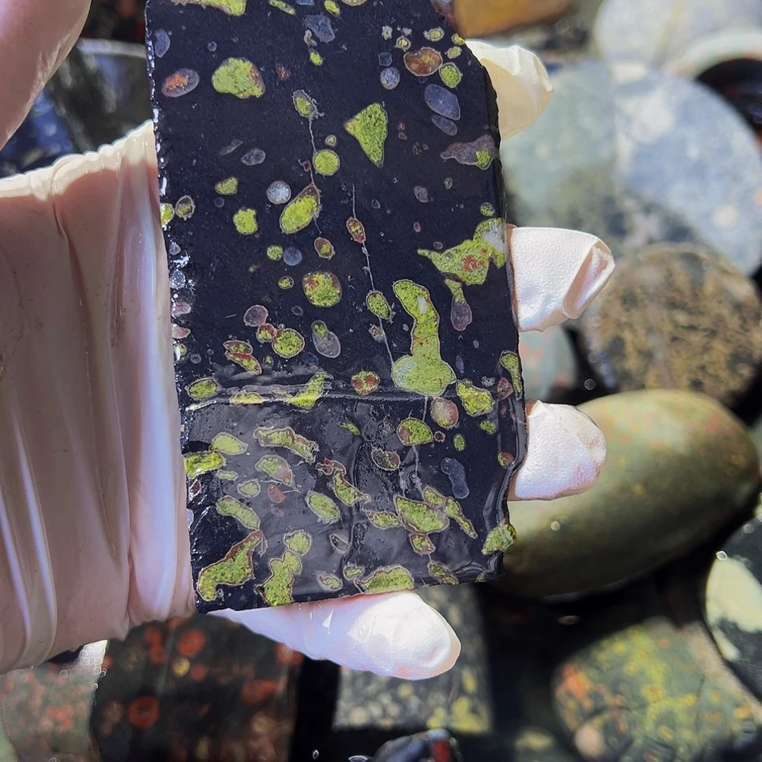 梅花玉鱼缸石茶周边微瑕不退不换