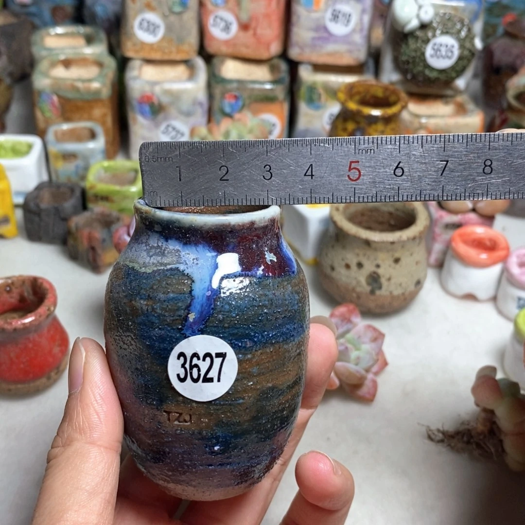 拍5送一个小礼物