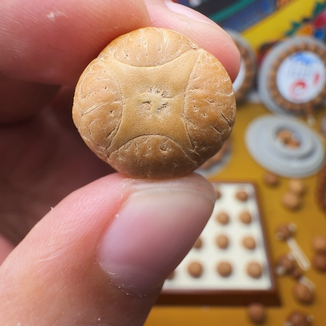 c***r19.5麒麟单籽，一物一图