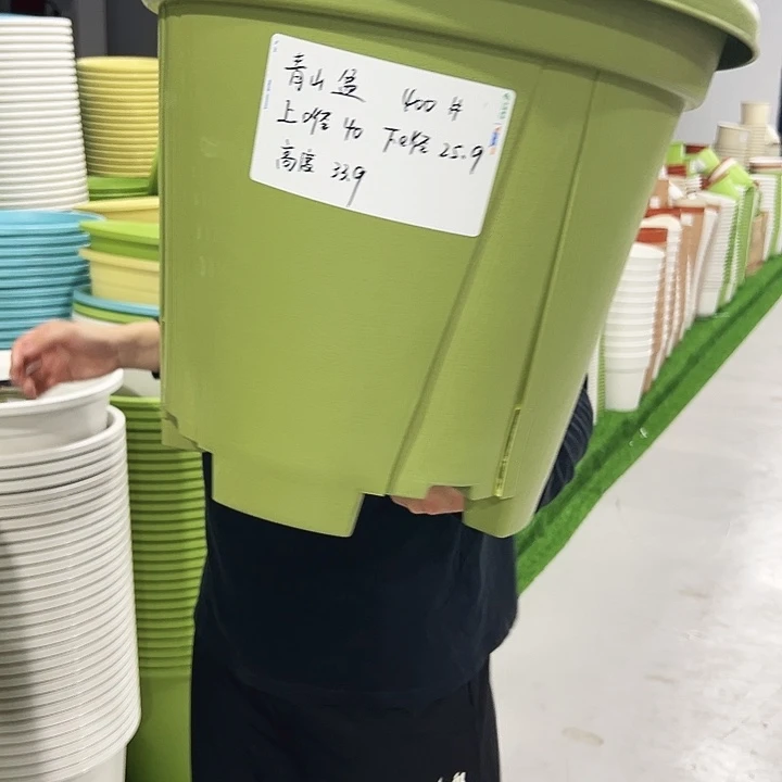 青山口40高34果绿色5只无托