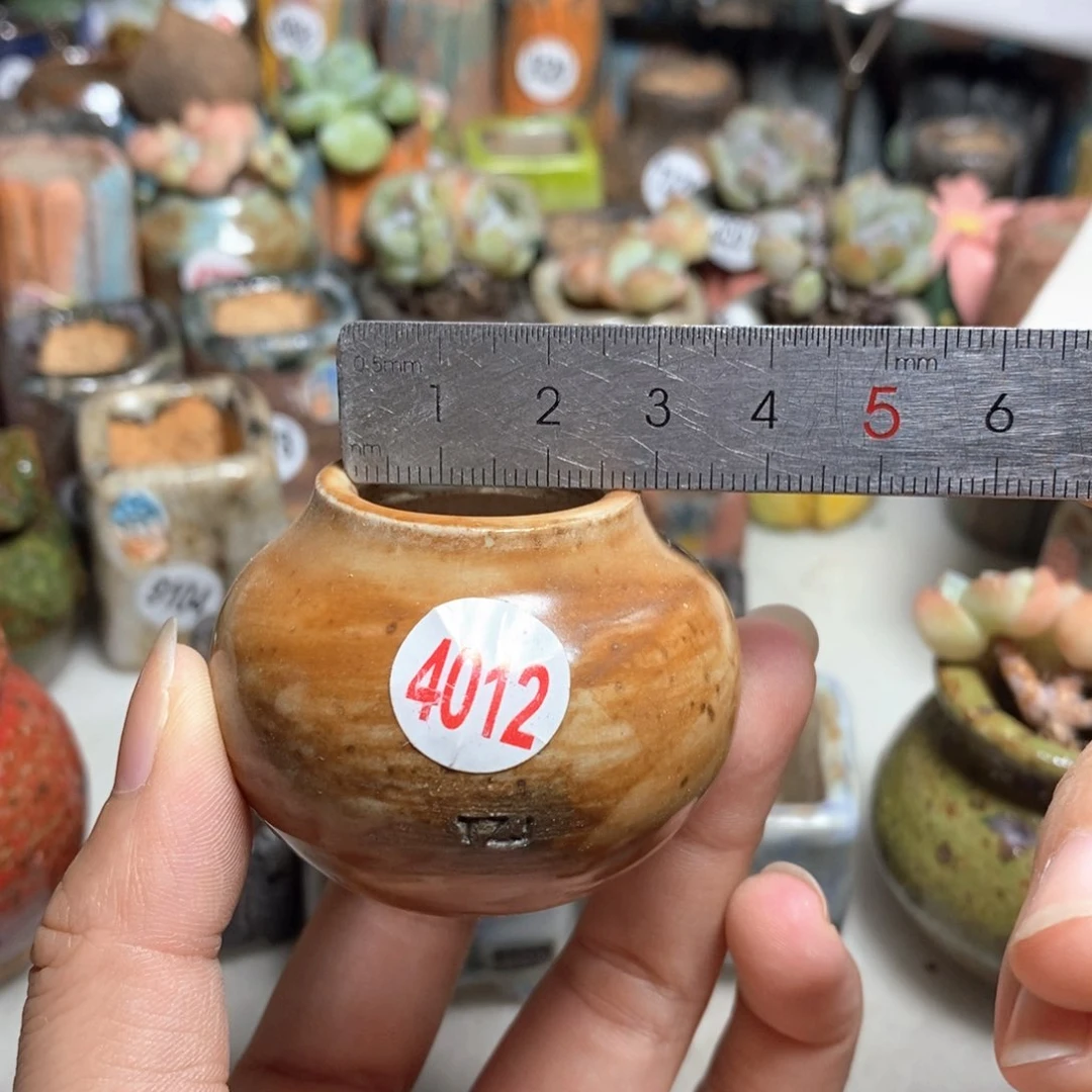 拍5送一个小礼物