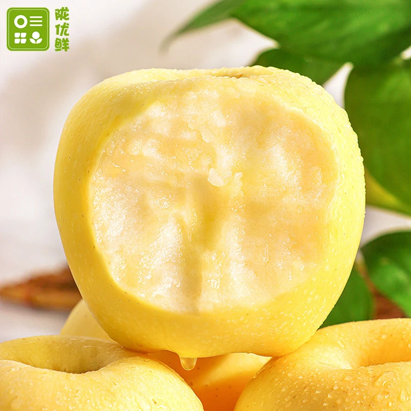 陇优鲜维纳斯黄金苹果脆甜多汁新鲜自然果园直采超好吃苹果