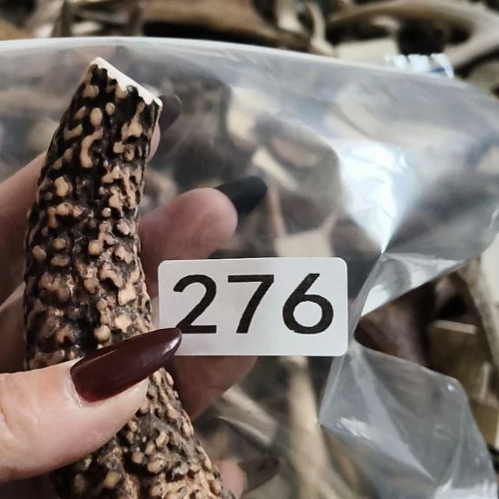 东***~鹿角鹿角鹿角鹿角鹿角鹿角