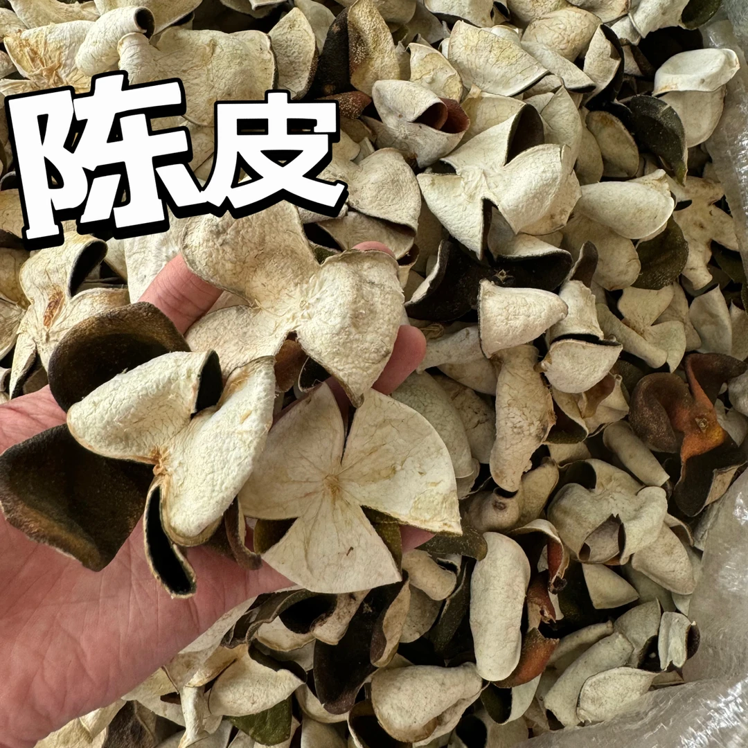 正宗新会陈皮青皮今年货 新货收藏