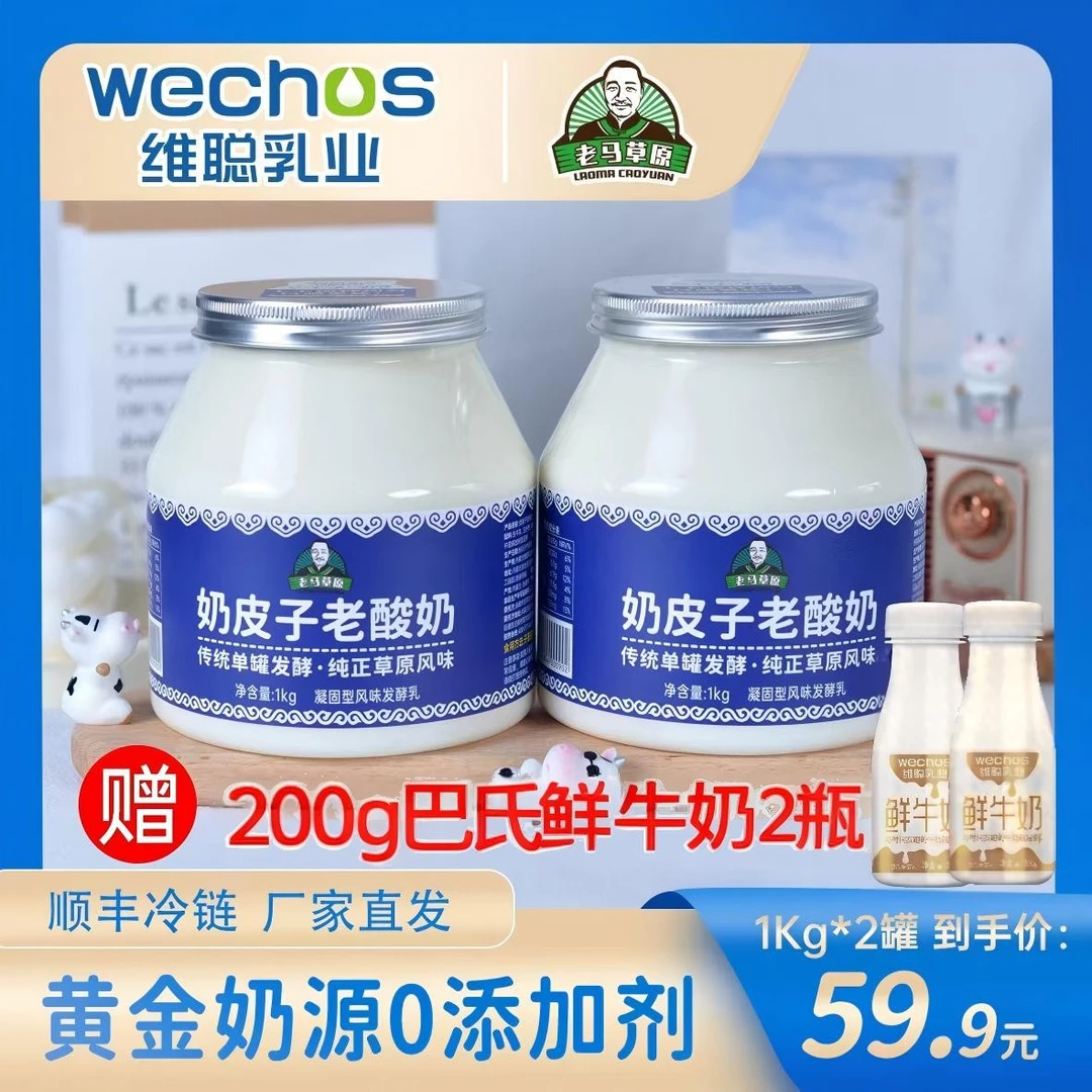 老马草原内蒙古奶皮子老酸奶1KG*2桶 送2瓶200g鲜奶 顺丰包邮