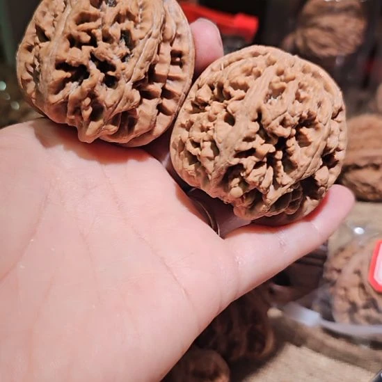 文玩核桃吊坠47粗筋