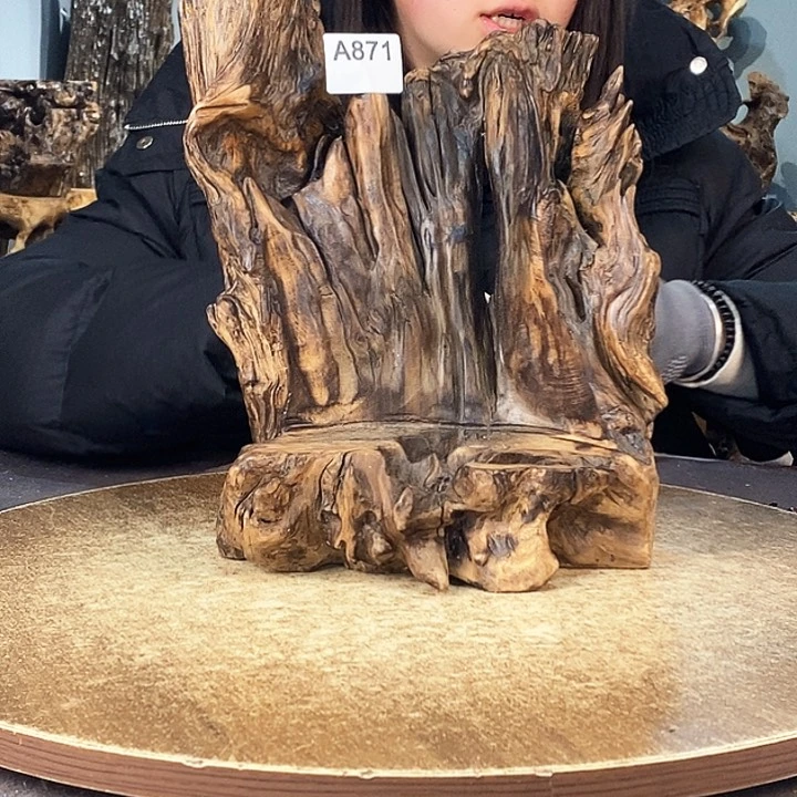 茶盏穆*871株木的随行的根艺