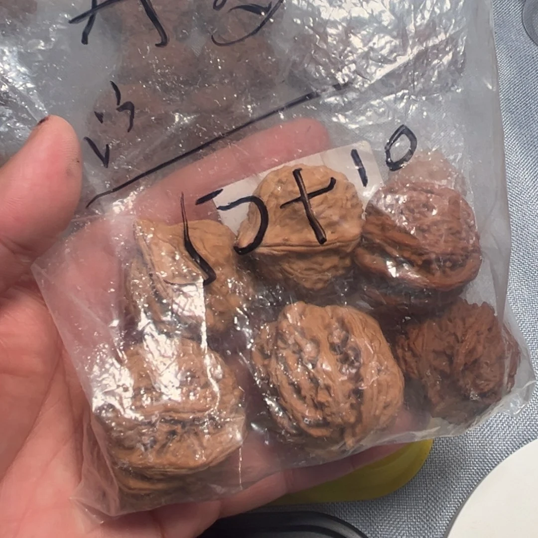 可***梦核桃核桃核桃核桃