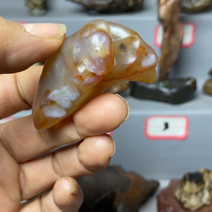 陶瓷俏色小海豚。