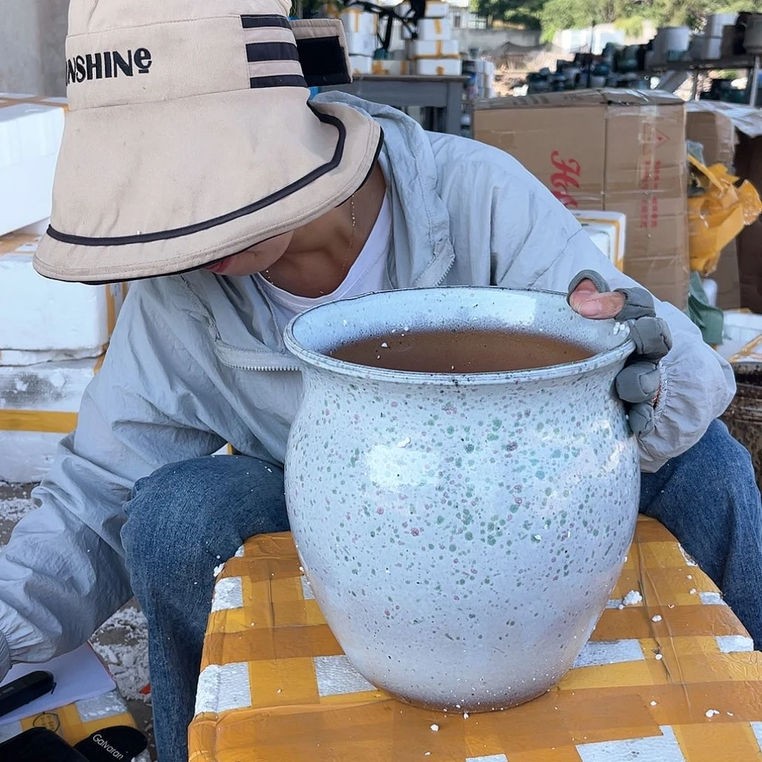 王嫂花盆直播0529/五大兰