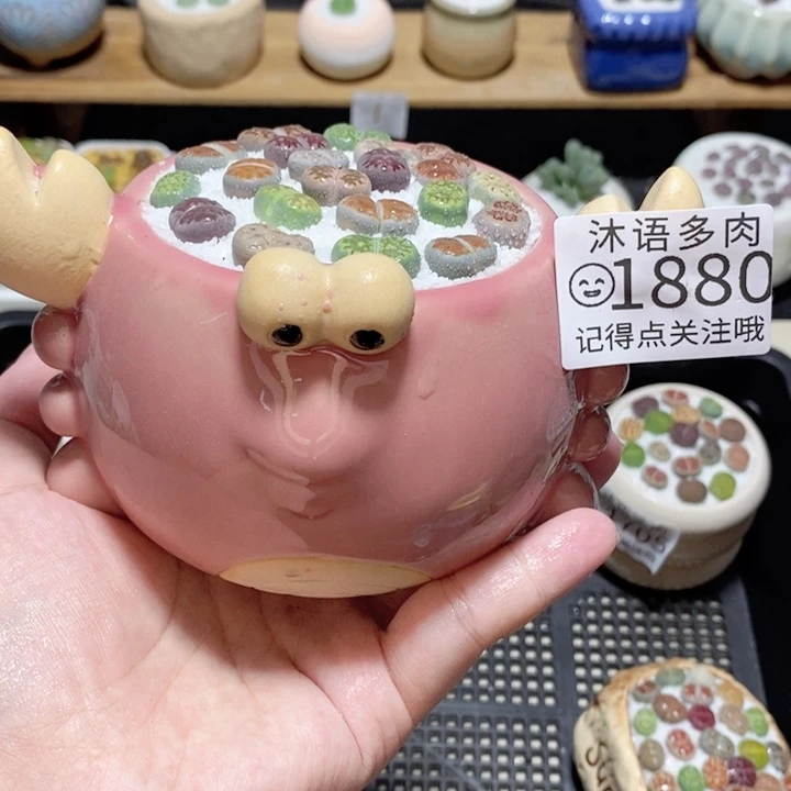 精美盆栽 一物一拍 1880
