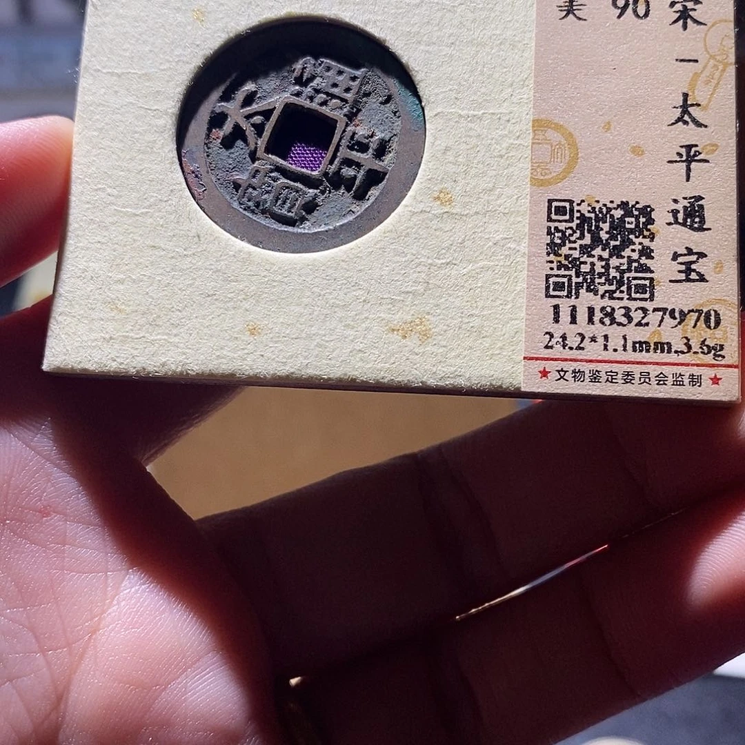 贝壳10 恭喜发财恭喜发财