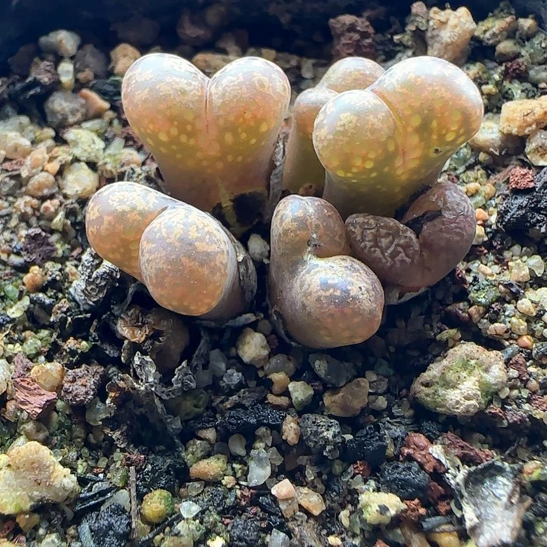 又***開哈哈哈哈哈哈哈哈哈哈43136