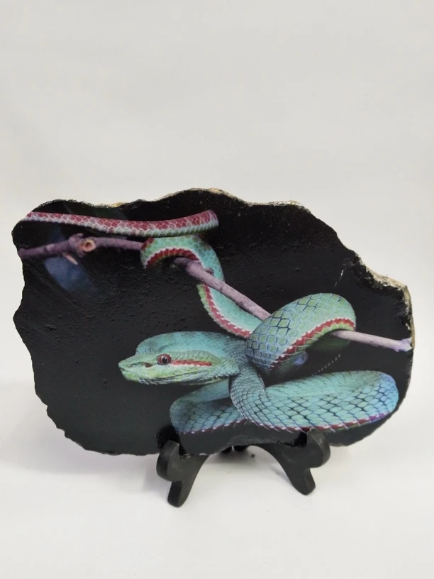 18*14，手工制作石头画，小青蛇，防水不掉色，永久保存