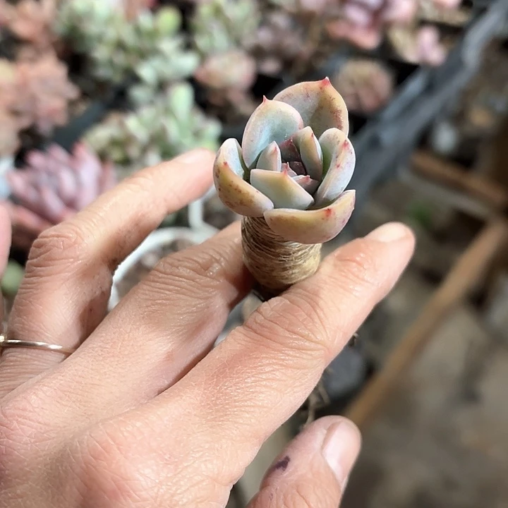 ?****吃不下vvvvv193