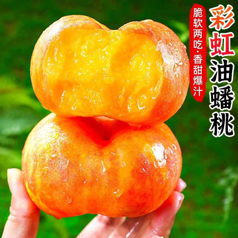 正宗彩虹油蟠桃硬软两吃香甜多汁甜嫩扁桃子新鲜蜜桃黄桃助农水果